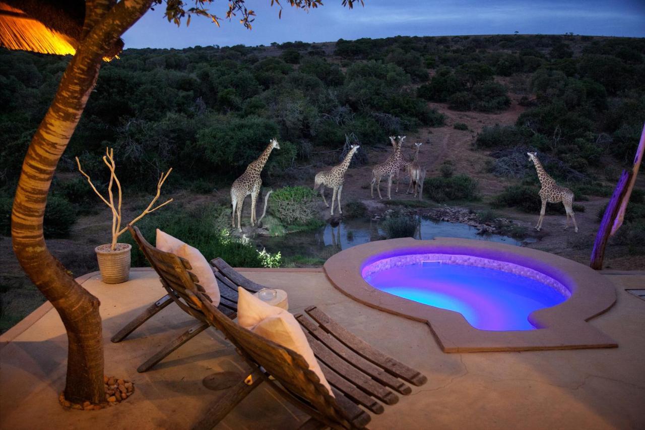 Safari Lodge - Reserva de Amakhala Exterior foto