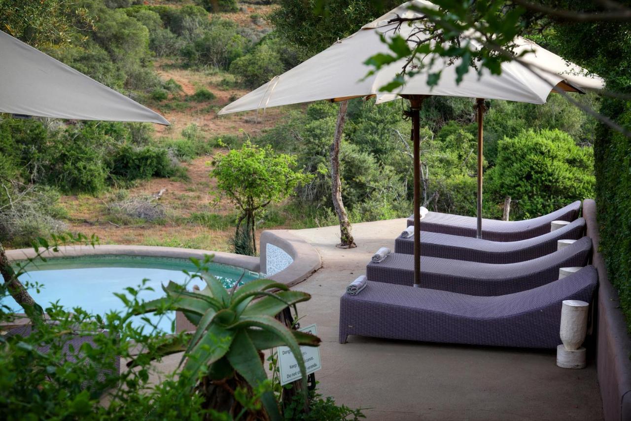 Safari Lodge - Reserva de Amakhala Exterior foto