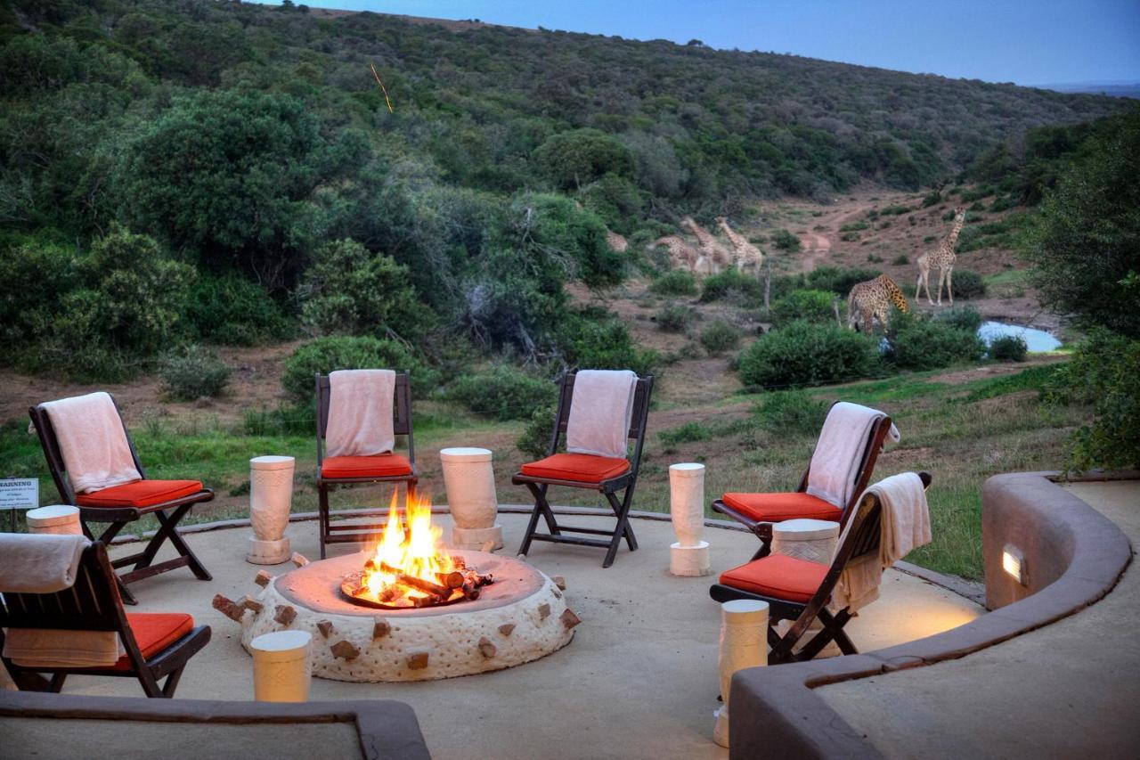 Safari Lodge - Reserva de Amakhala Exterior foto